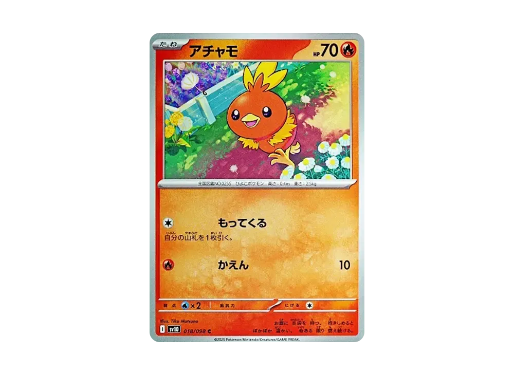 Torchic