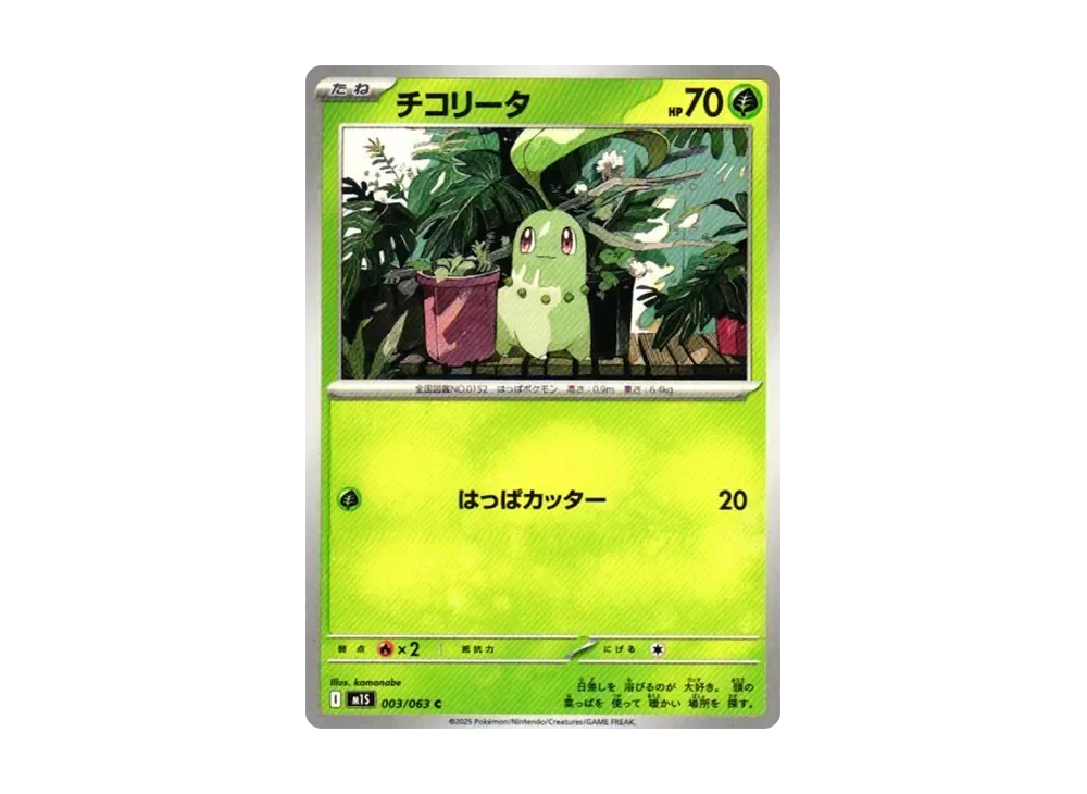 Chikorita C