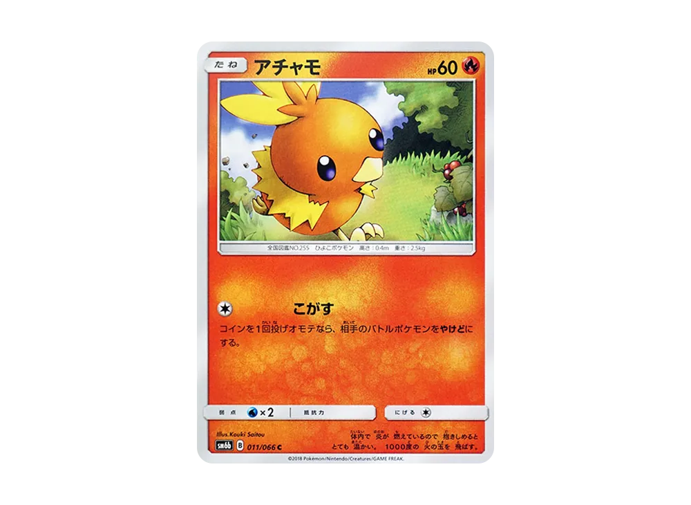 Torchic C